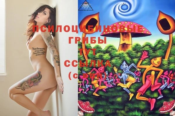 соль курить ск Алексин