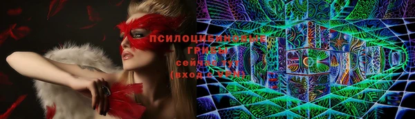 скорость Алексеевка